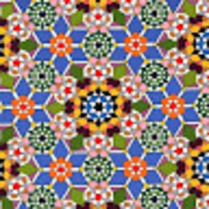 Meet your Posher, Dev